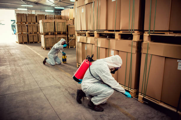 Reliable Flatonia, TX Pest Control Solutions